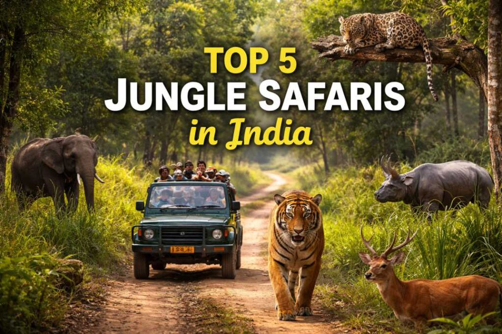 Top 5 Jungle Safaris in India